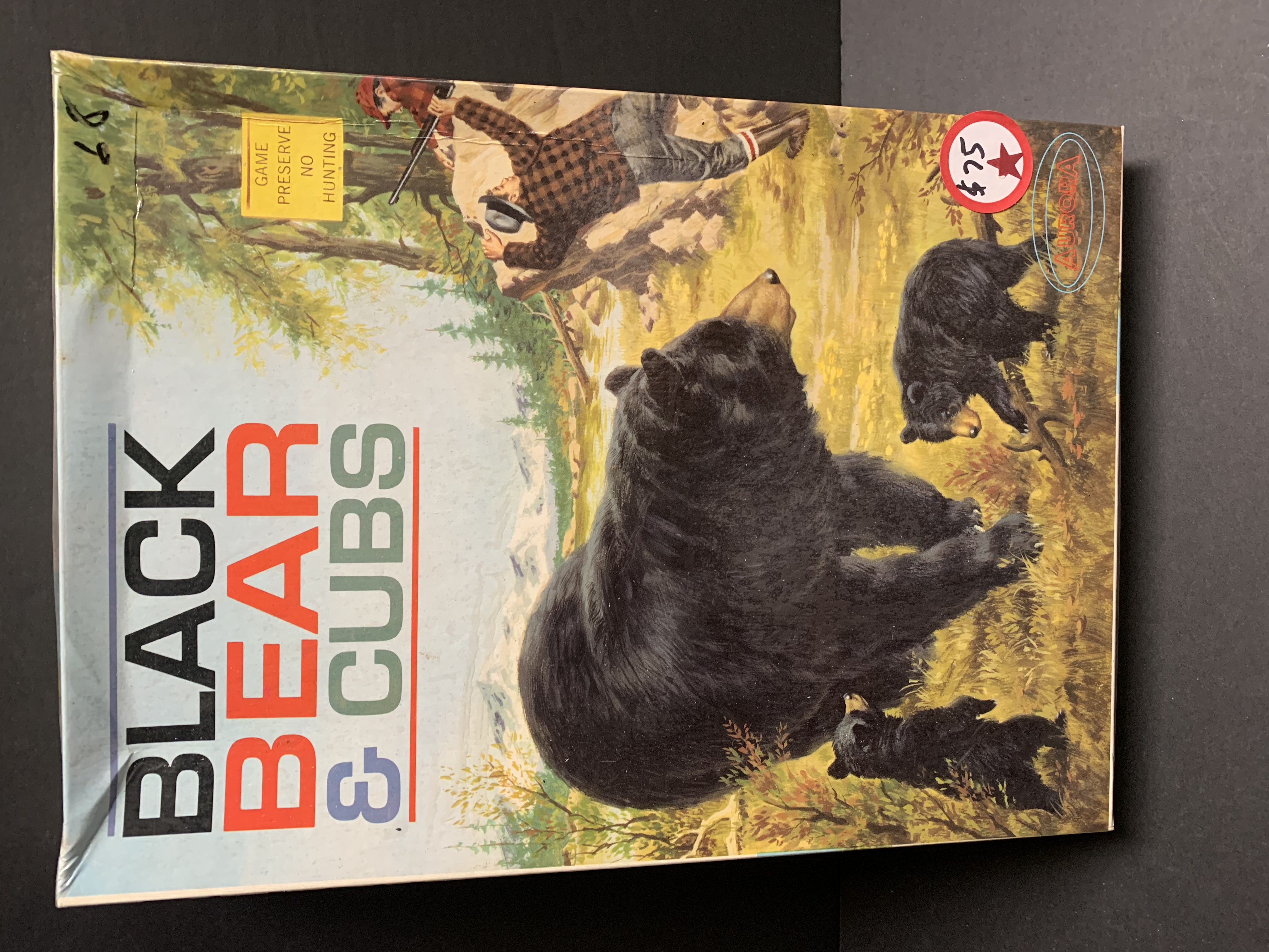 BLACK BEAR & CUBS